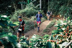 BIB: 
                            <button type="button" onclick="openModal(25855271)" class="btn btn-primary btn-sm float-right btn-popup" data-toggle="modal" data-target=".modal-high-quality">
                        <i class="fas fa-shopping-cart"></i> Add to Cart
                    </button>
                                            <button type="button" onclick="isThisMe(25855271, true)" class="btn btn-success btn-sm float-right btn-popup btn-isme hidden" data-toggle="tooltip" data-placement="bottom" title="นี่คือรูปของคุณใช่ไหม คลิกที่นี่เพื่อเอาเข้าอัลบั้ม">
                        <i class="fas fa-plus"></i> Add to album
                    </button>
                    <button type="button" onclick="isThisMe(25855271, false)" class="btn btn-warning btn-sm float-right btn-popup btn-isnotme hidden">
                        <i class="fas fa-ban"></i> Remove from album
                    </button>